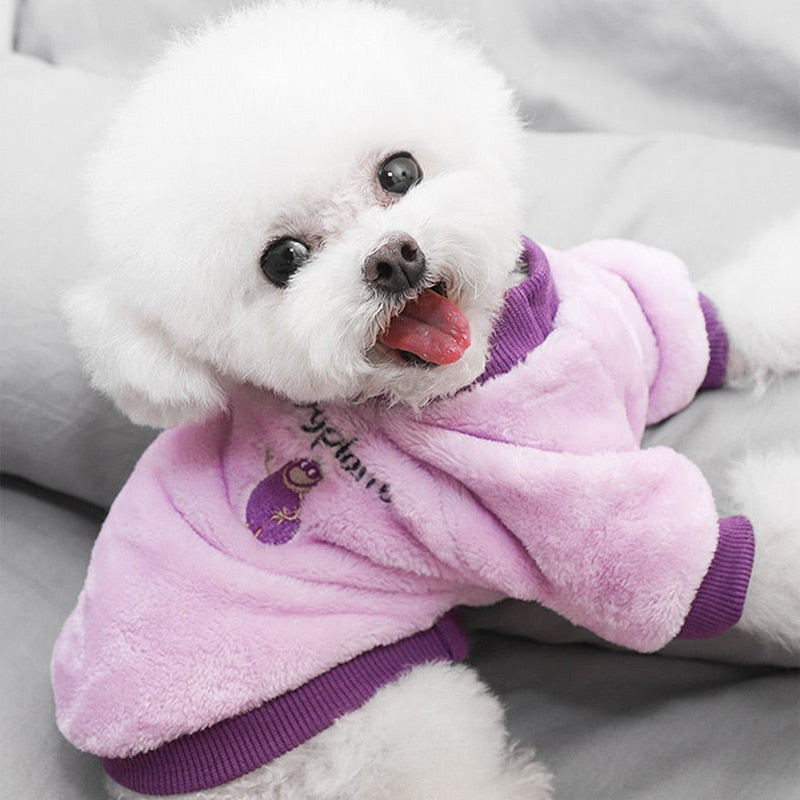 Warm Fleece Pet Clothes Cute Fruit