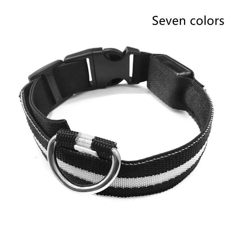 Glow Collar – Rechargeable LED Dog Collar for Nighttime Safety & Style