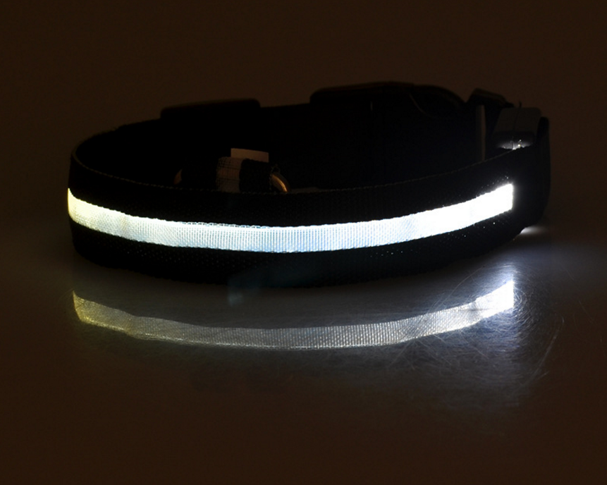 Glow Collar – Rechargeable LED Dog Collar for Nighttime Safety & Style
