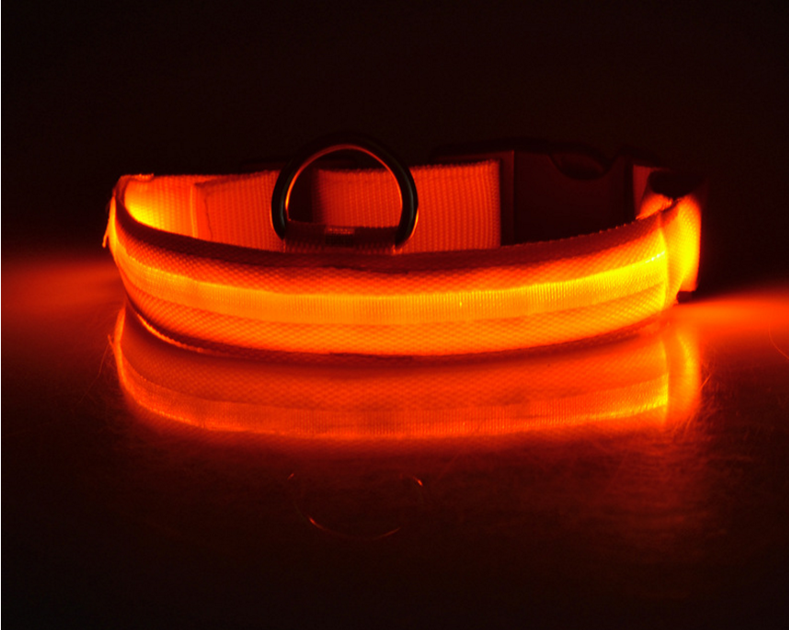 Glow Collar – Rechargeable LED Dog Collar for Nighttime Safety & Style