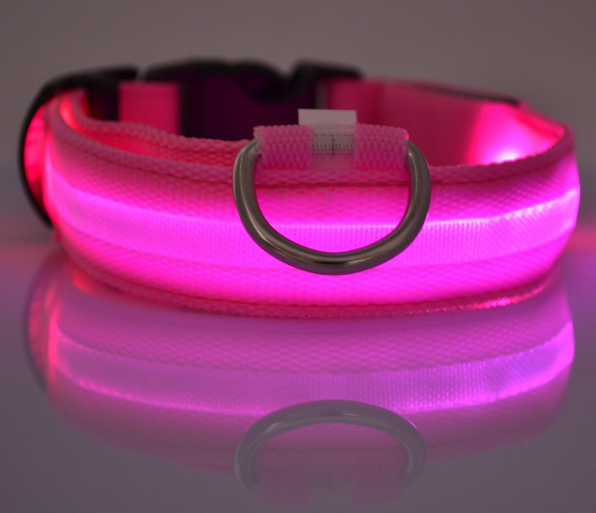 Glow Collar – Rechargeable LED Dog Collar for Nighttime Safety & Style