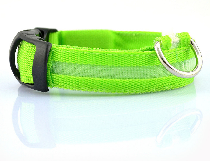 Glow Collar – Rechargeable LED Dog Collar for Nighttime Safety & Style