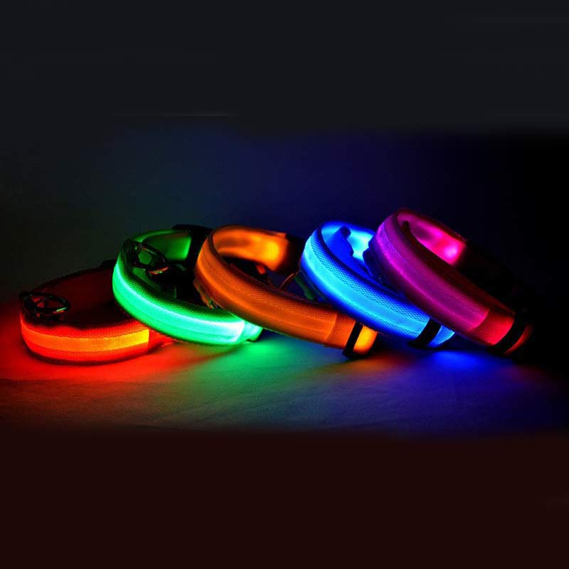 Glow Collar – Rechargeable LED Dog Collar for Nighttime Safety & Style