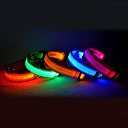 Glow Collar – Rechargeable LED Dog Collar for Nighttime Safety & Style