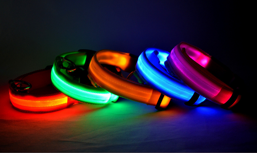 Glow Collar – Rechargeable LED Dog Collar for Nighttime Safety & Style