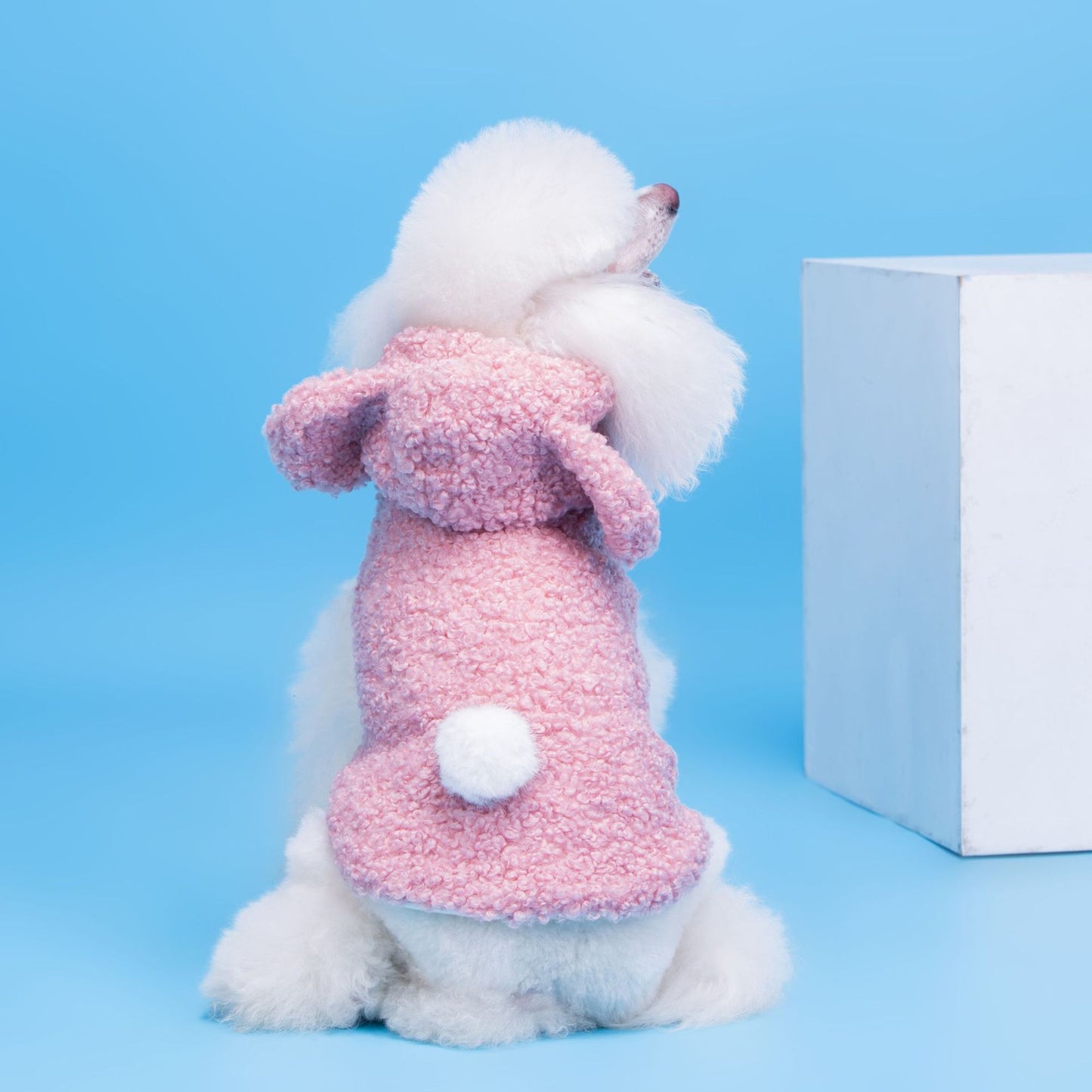 Comfort-Fit Pet Clothing – Soft, Stylish & Safe for Dogs & Cats (S–XXL)