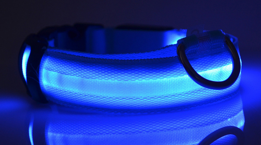 Glow Collar – Rechargeable LED Dog Collar for Nighttime Safety & Style