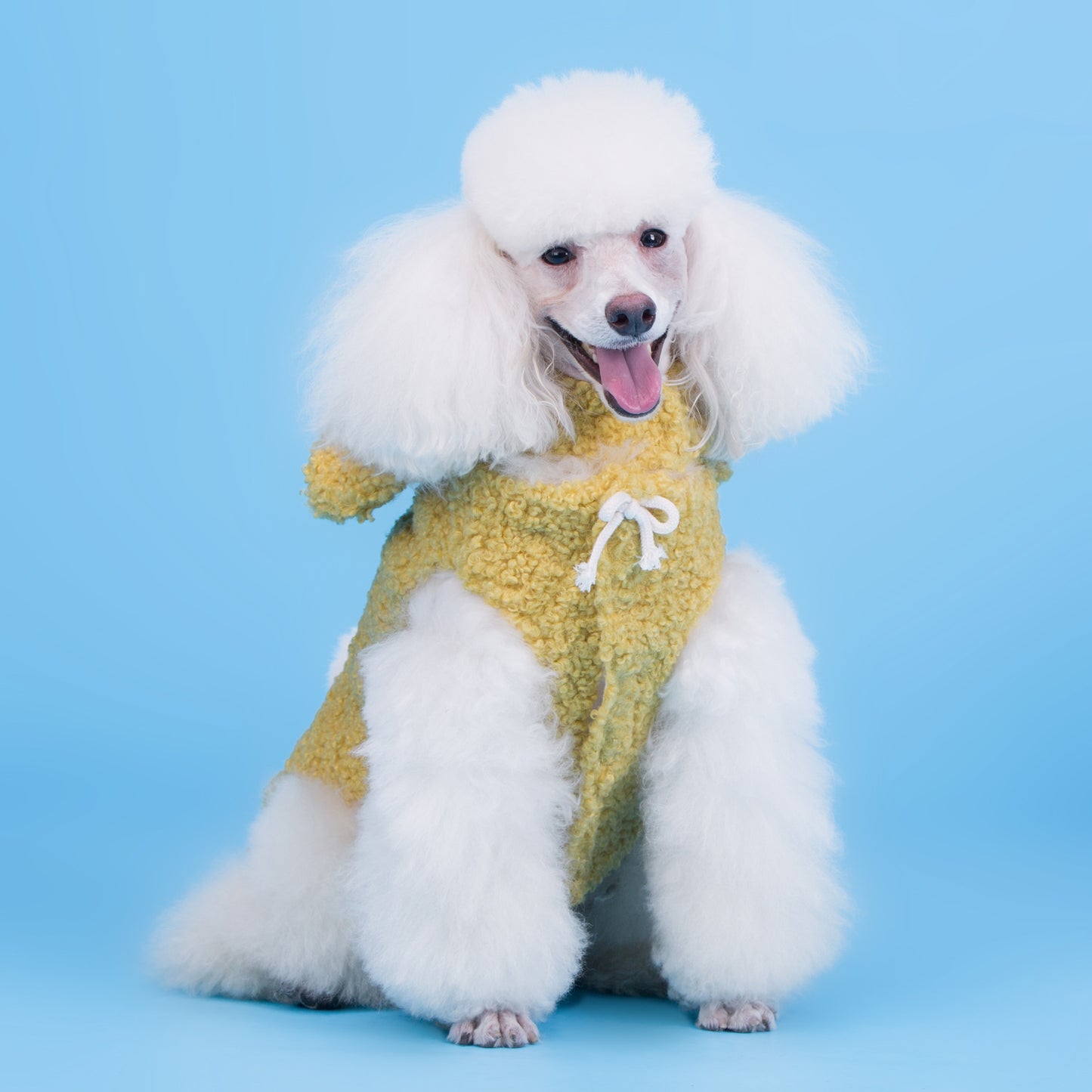 Comfort-Fit Pet Clothing – Soft, Stylish & Safe for Dogs & Cats (S–XXL)