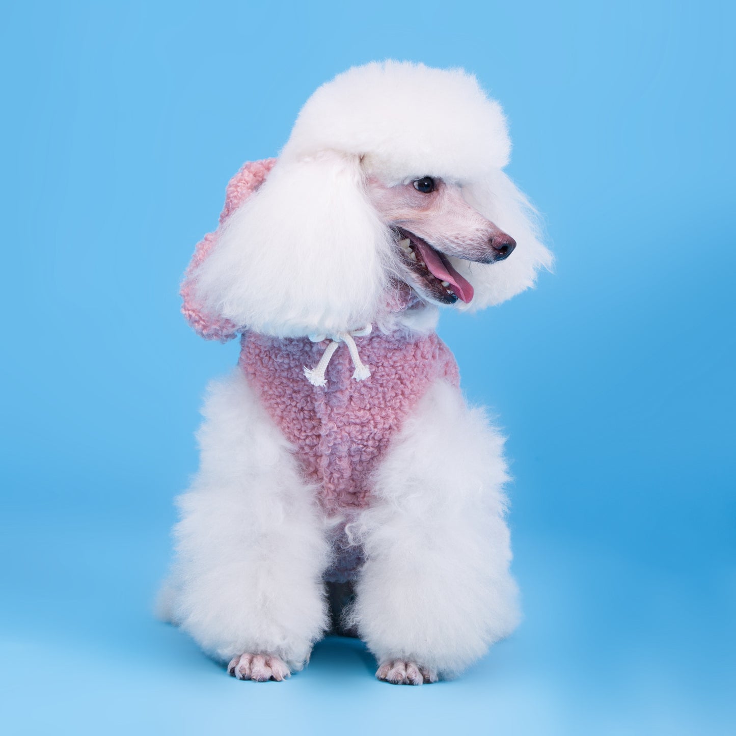 Comfort-Fit Pet Clothing – Soft, Stylish & Safe for Dogs & Cats (S–XXL)