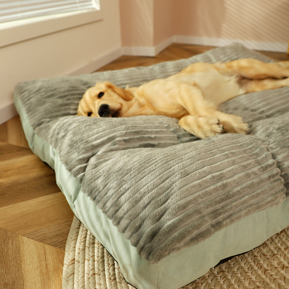 Ultra-Soft Dog Sleeping Cushion – Supportive, Lightweight & Washable Pet Bed