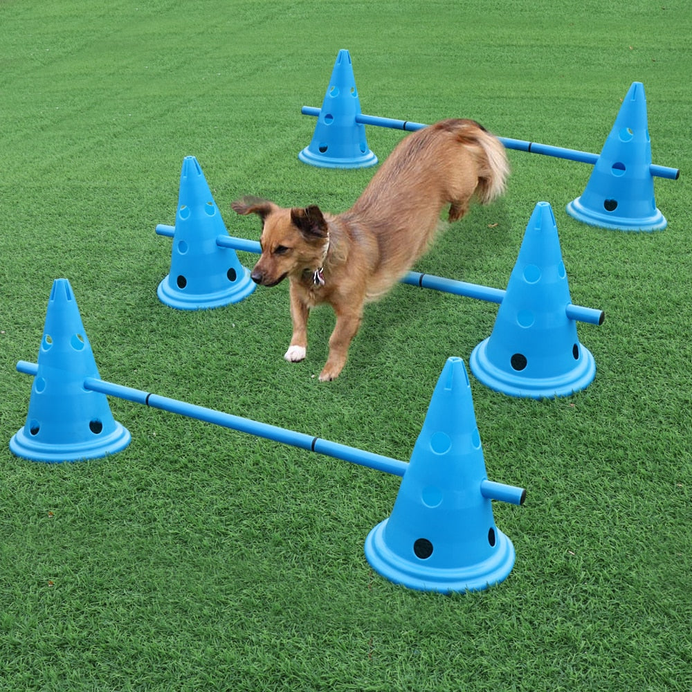 3-Piece Dog Agility Training Set – Portable Outdoor Fitness & Play Equipment