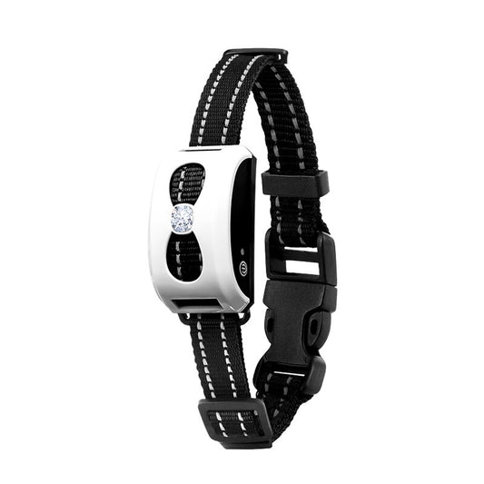 2 IN 1 Wireless Electronic Dog Fence System