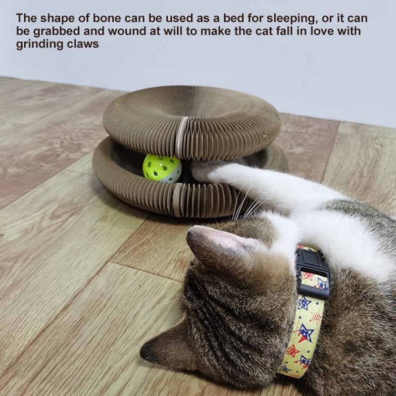 Magic Organ Cat Scratching Board Cat Toy