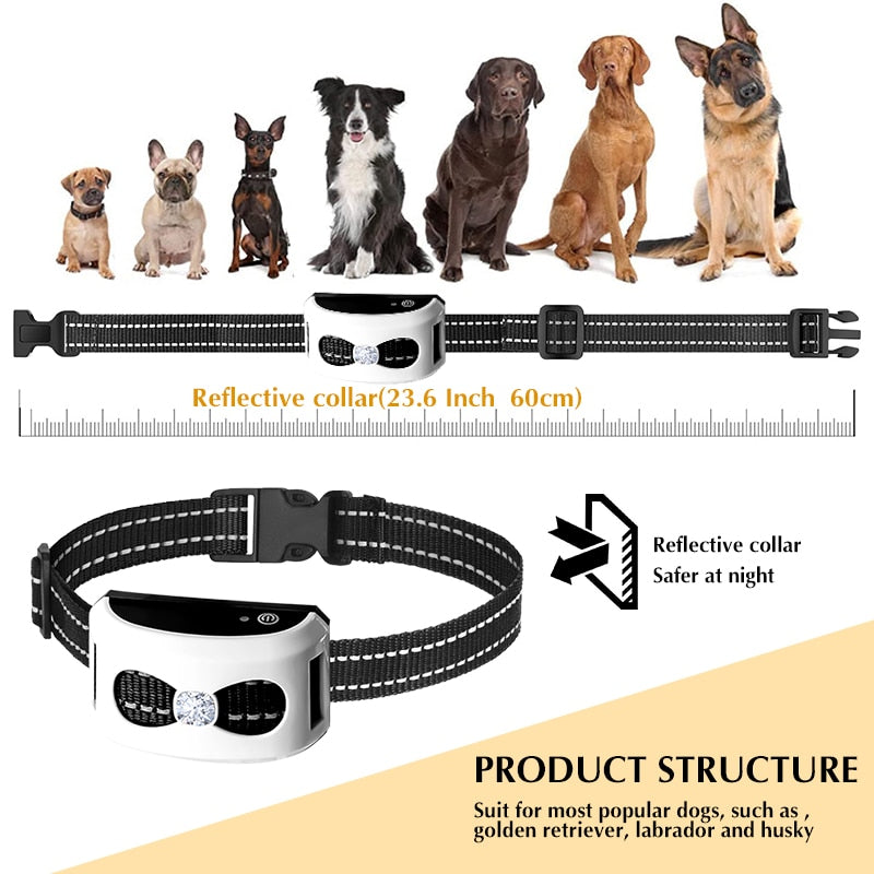 2 IN 1 Wireless Electronic Dog Fence System