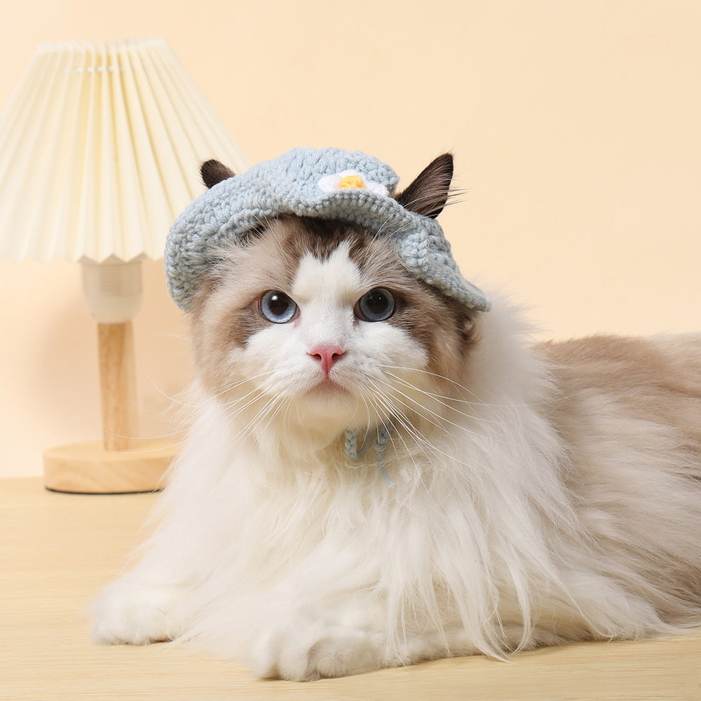 Autumn Winter Cat Hat Elastic Cute Refined