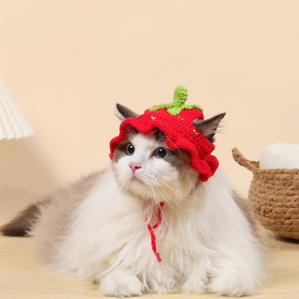 Autumn Winter Cat Hat Elastic Cute Refined