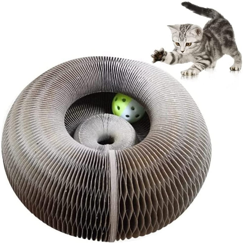 Magic Organ Cat Scratching Board Cat Toy
