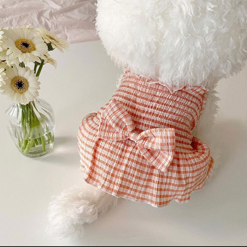 Cute Summer Plaid Skirt Pet Clothing