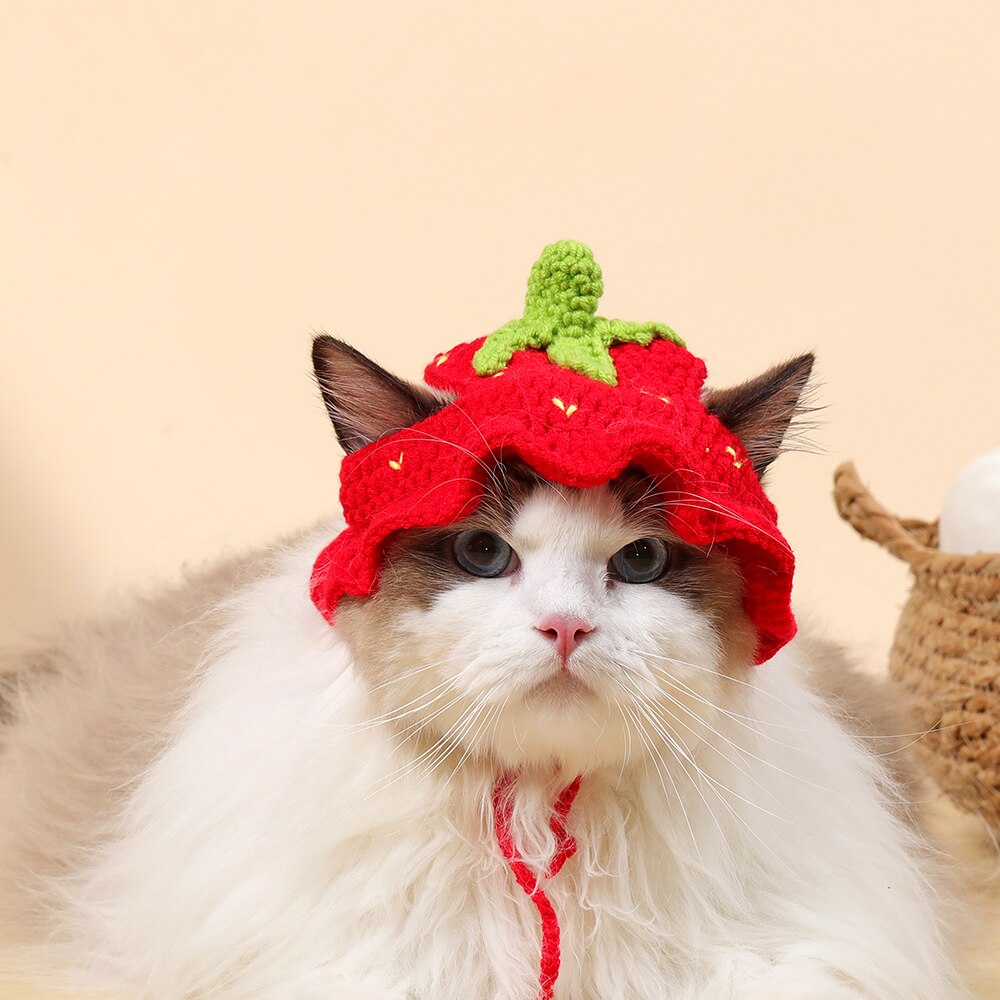 Autumn Winter Cat Hat Elastic Cute Refined