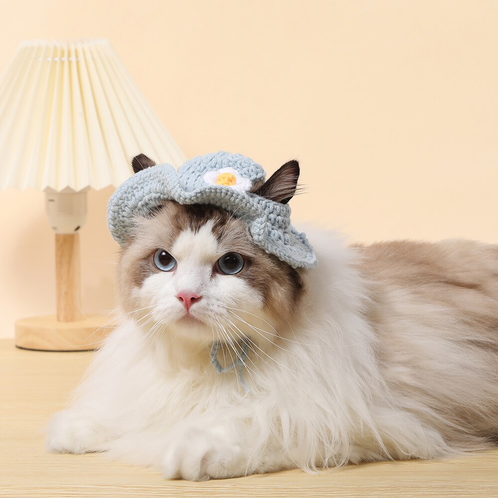 Autumn Winter Cat Hat Elastic Cute Refined