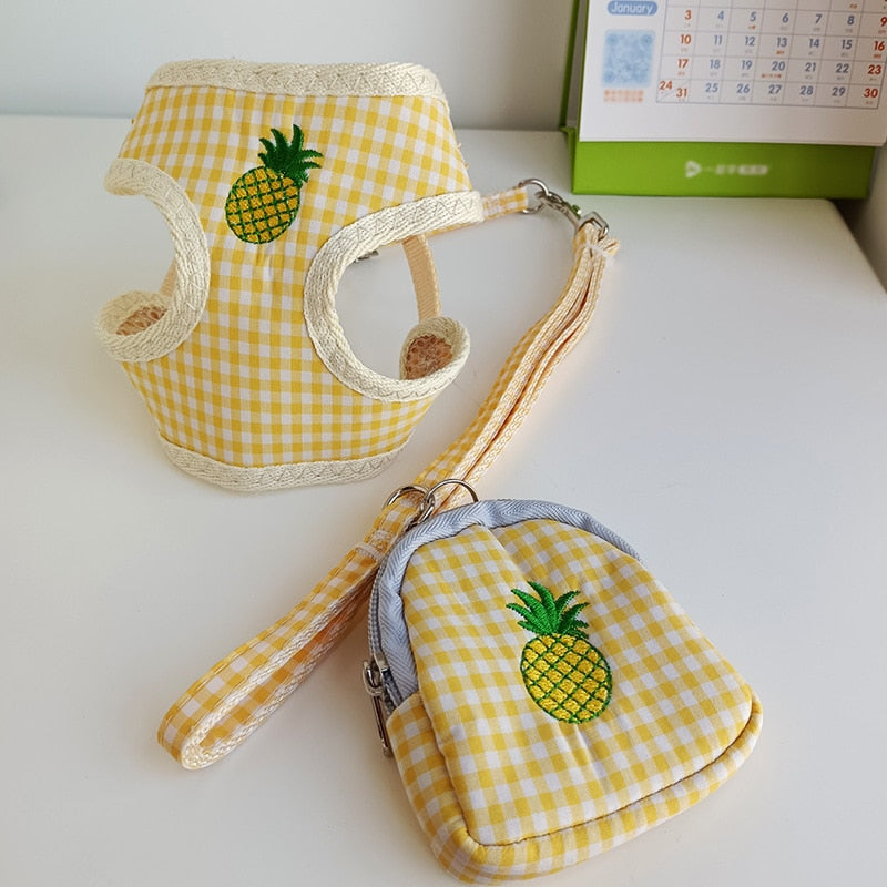 Dog Traction Rope Walking Dog Rope