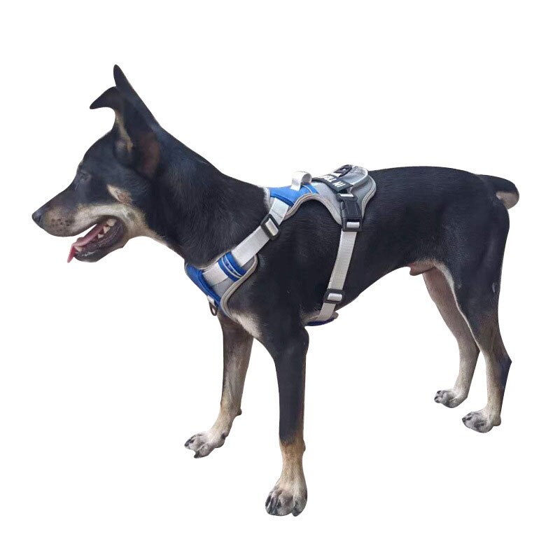Adjustable Nylon Dog Harness – Durable, Comfortable & Secure Fit