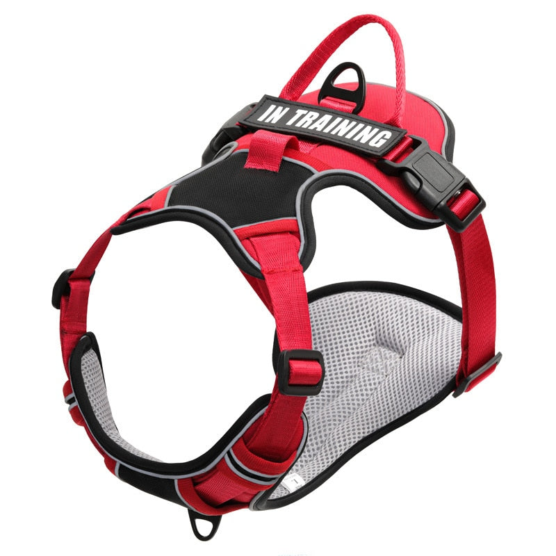 Adjustable Nylon Dog Harness – Durable, Comfortable & Secure Fit