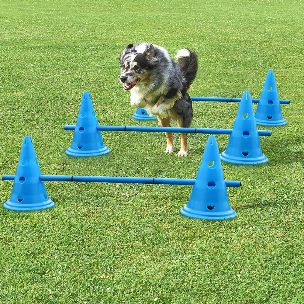 3-Piece Dog Agility Training Set – Portable Outdoor Fitness & Play Equipment