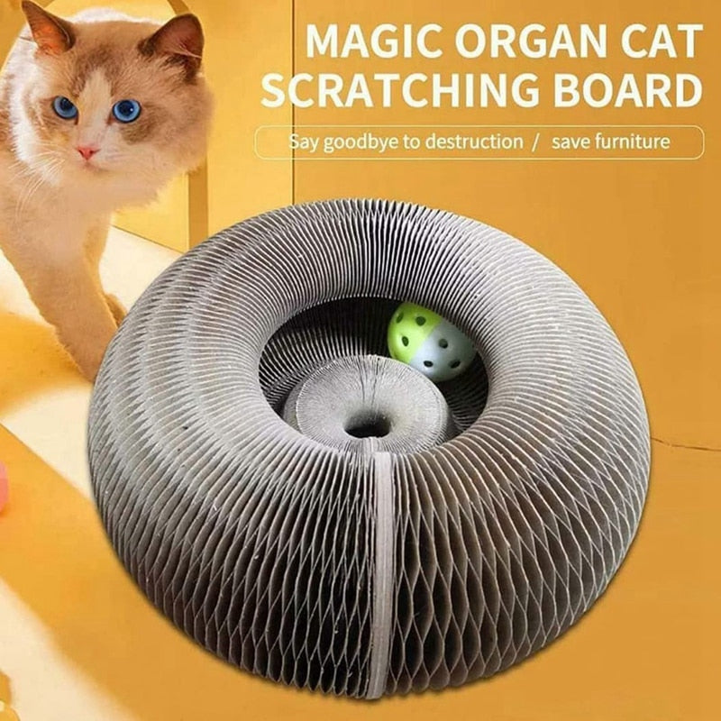 Magic Organ Cat Scratching Board Cat Toy