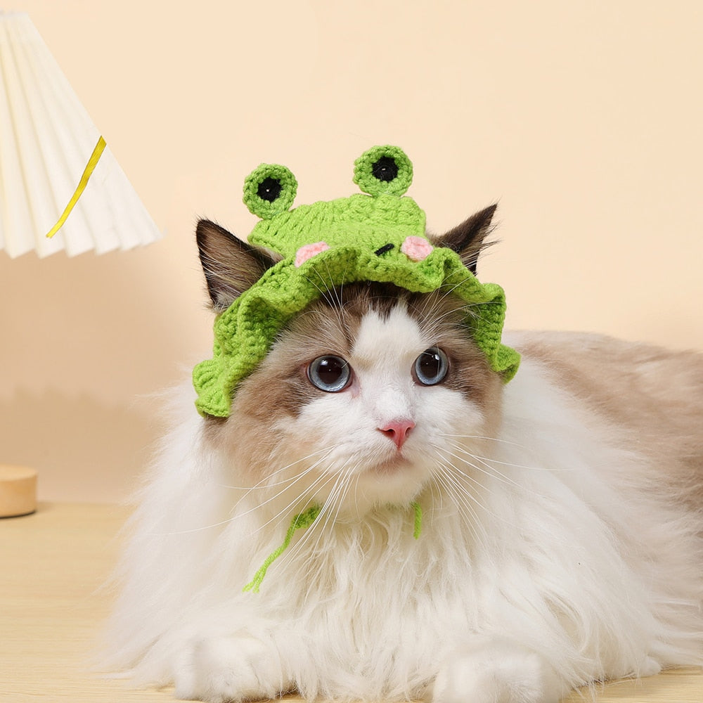 Autumn Winter Cat Hat Elastic Cute Refined