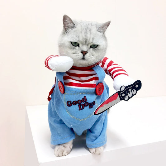 |14:173#pet clothes;5:100014064|14:173#pet clothes;5:361386|14:173#pet clothes;5:361385