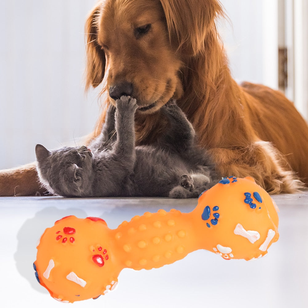 |200007763:201336100|200007763:201336106|200007763:201336099|200007763:203124903