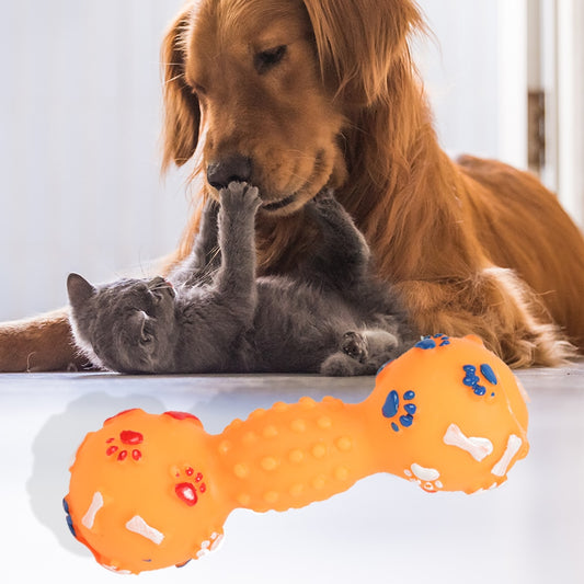 |200007763:201336100|200007763:201336106|200007763:201336099|200007763:203124903