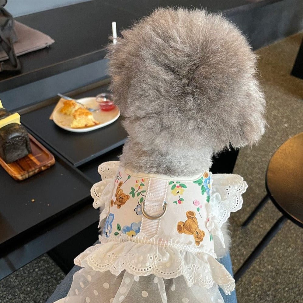 Dog Cat Harness Leash Set Adjustable Lace